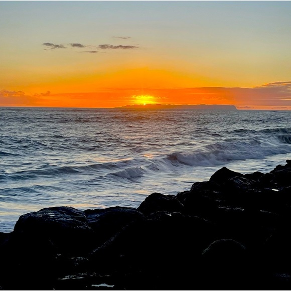 Meet your Posher, Arlene - Picture 1 of 1